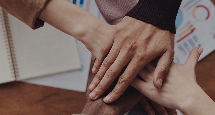 �������ǲ�(�й���)�ٷ���վ